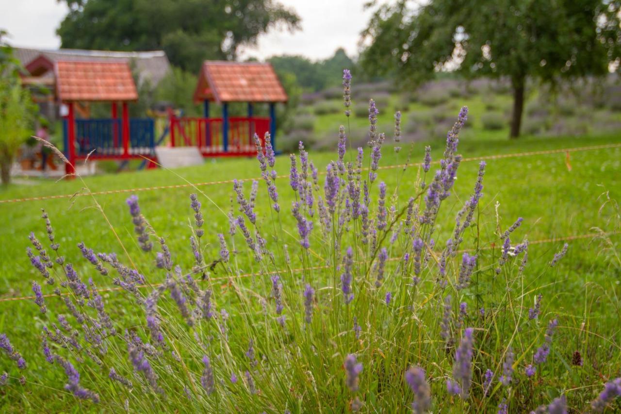 Lavanda Farm Apartmani Rakovica Exterior foto