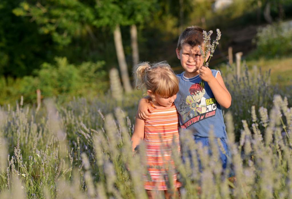 Lavanda Farm Apartmani Rakovica Exterior foto