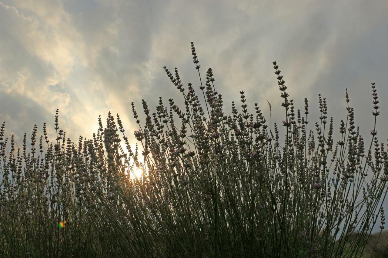 Lavanda Farm Apartmani Rakovica Exterior foto