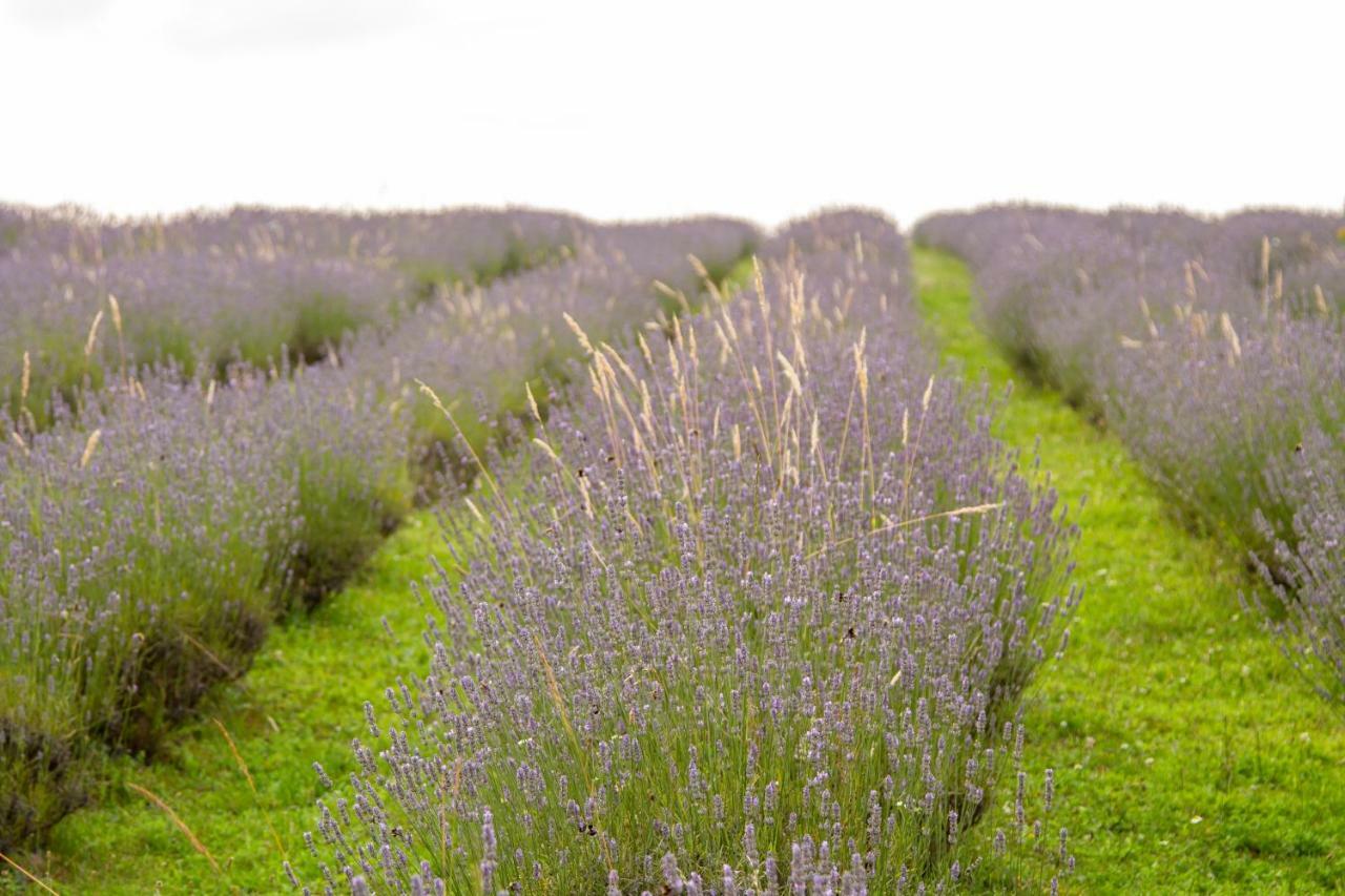 Lavanda Farm Apartmani Rakovica Exterior foto